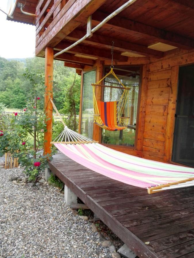 The Wooden House Villa Moldovenesti ภายนอก รูปภาพ