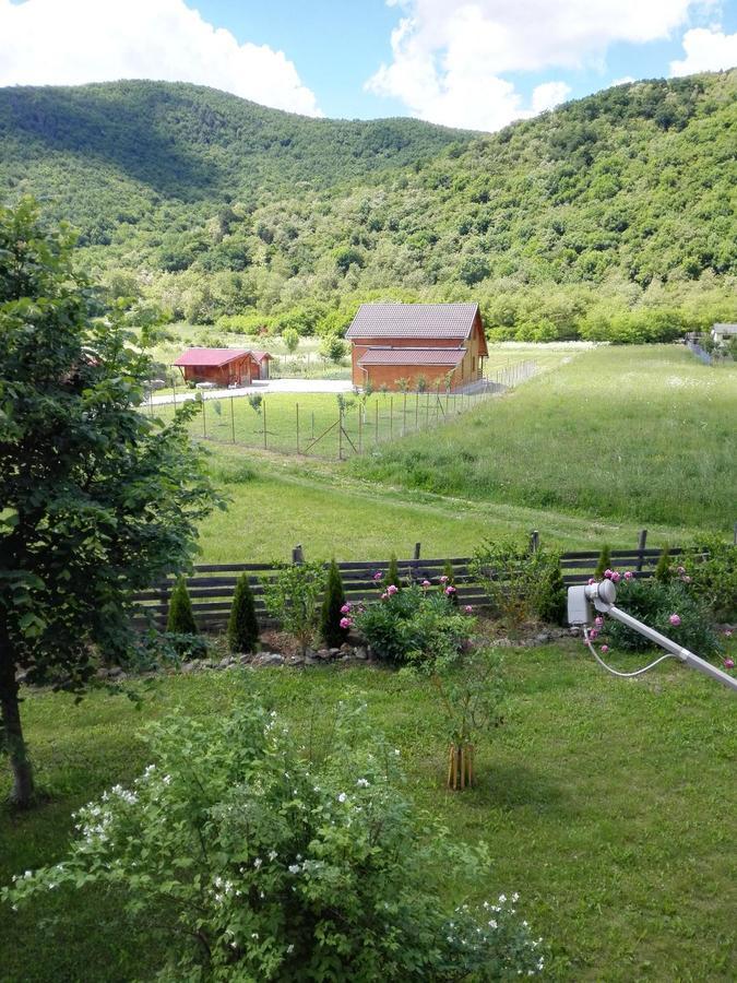The Wooden House Villa Moldovenesti ภายนอก รูปภาพ