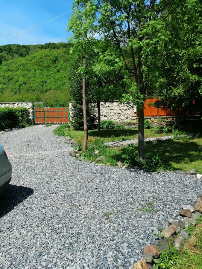 The Wooden House Villa Moldovenesti ภายนอก รูปภาพ
